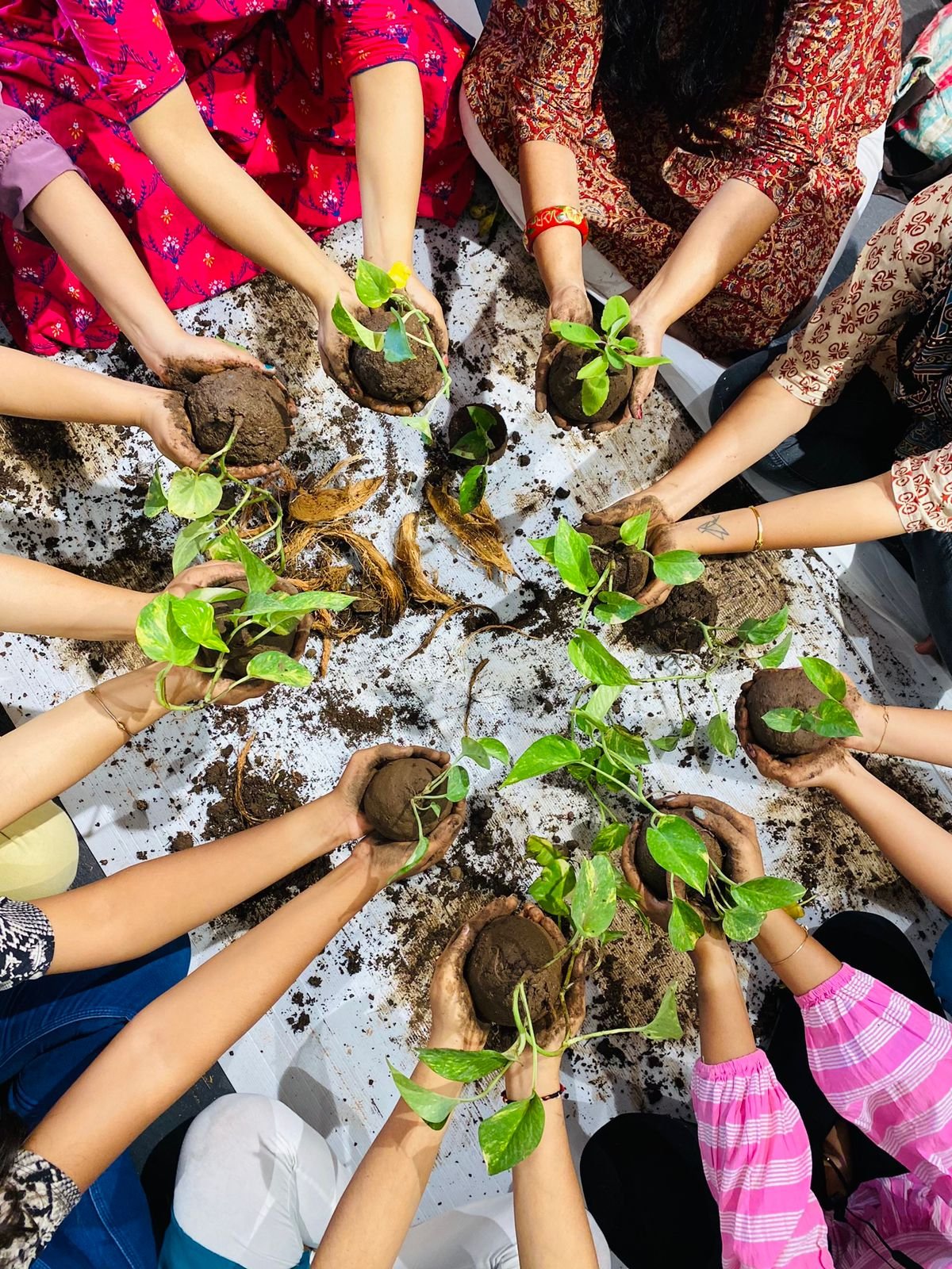 Kokedama workshop Celebration @ Studio Equinox